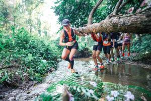 BIB: 
                            <button type="button" onclick="openModal(25446073)" class="btn btn-primary btn-sm float-right btn-popup" data-toggle="modal" data-target=".modal-high-quality">
                        <i class="fas fa-shopping-cart"></i> Add to Cart
                    </button>
                                            <button type="button" onclick="isThisMe(25446073, true)" class="btn btn-success btn-sm float-right btn-popup btn-isme hidden" data-toggle="tooltip" data-placement="bottom" title="นี่คือรูปของคุณใช่ไหม คลิกที่นี่เพื่อเอาเข้าอัลบั้ม">
                        <i class="fas fa-plus"></i> Add to album
                    </button>
                    <button type="button" onclick="isThisMe(25446073, false)" class="btn btn-warning btn-sm float-right btn-popup btn-isnotme hidden">
                        <i class="fas fa-ban"></i> Remove from album
                    </button>